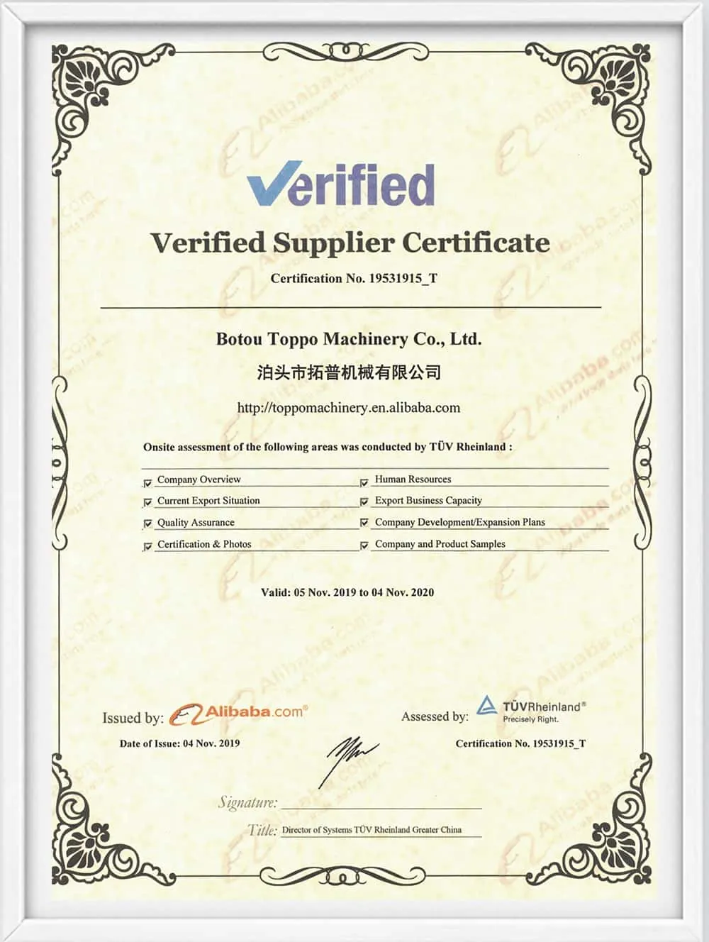 TOPPO Machinery TÜV verified supplier certificate